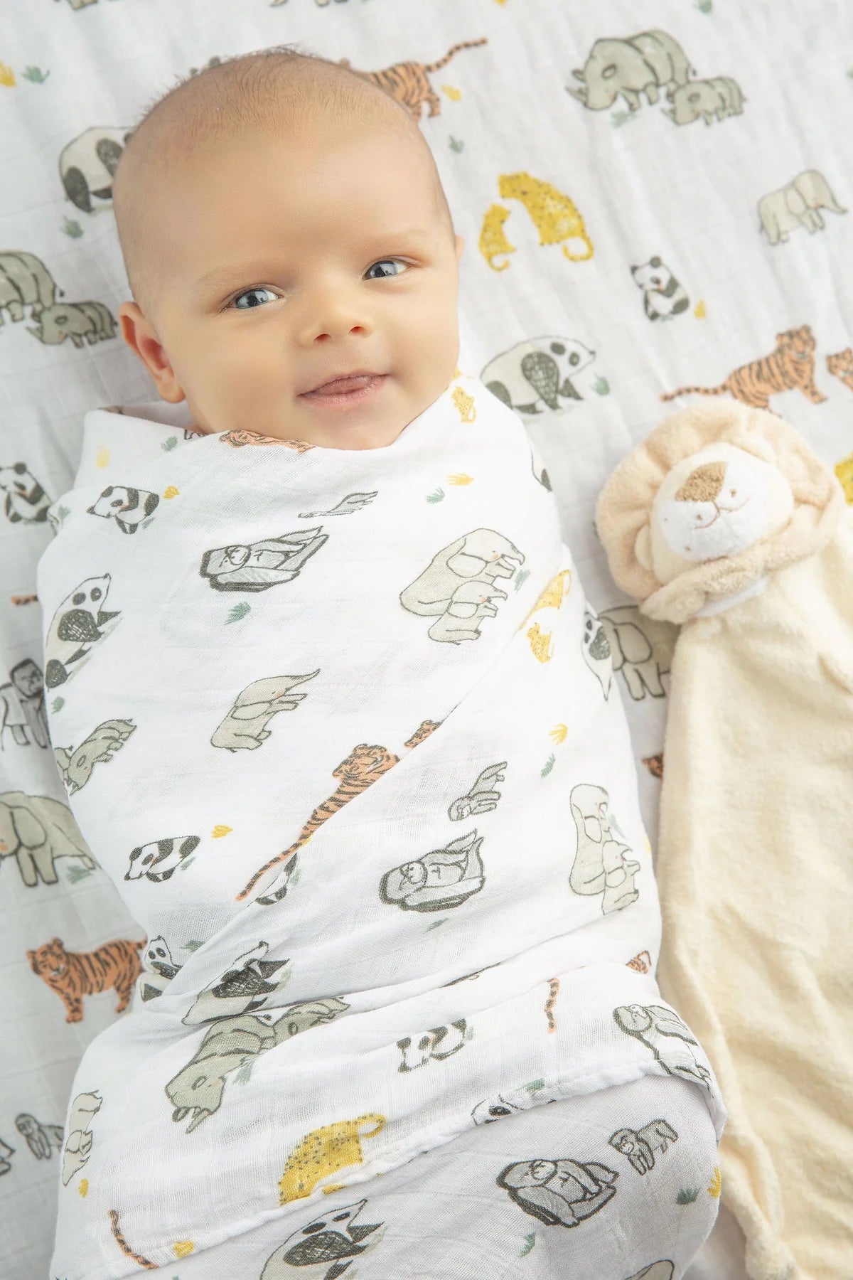 Lion Blankie