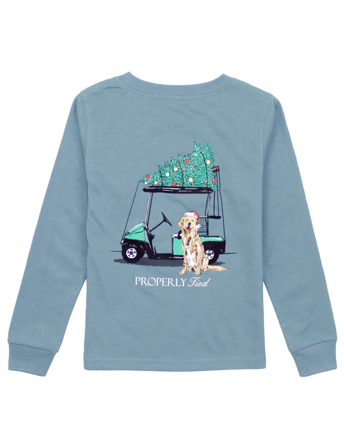 Steel Blue Santa's Caddy T