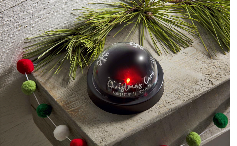 Christmas Cam
