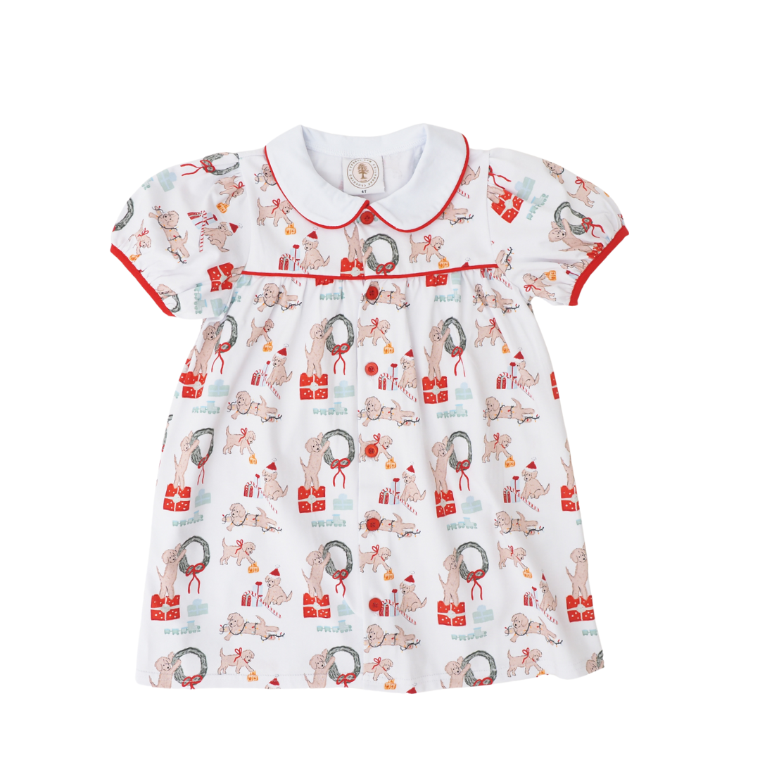 Santa Paws Paisley Proper Dress
