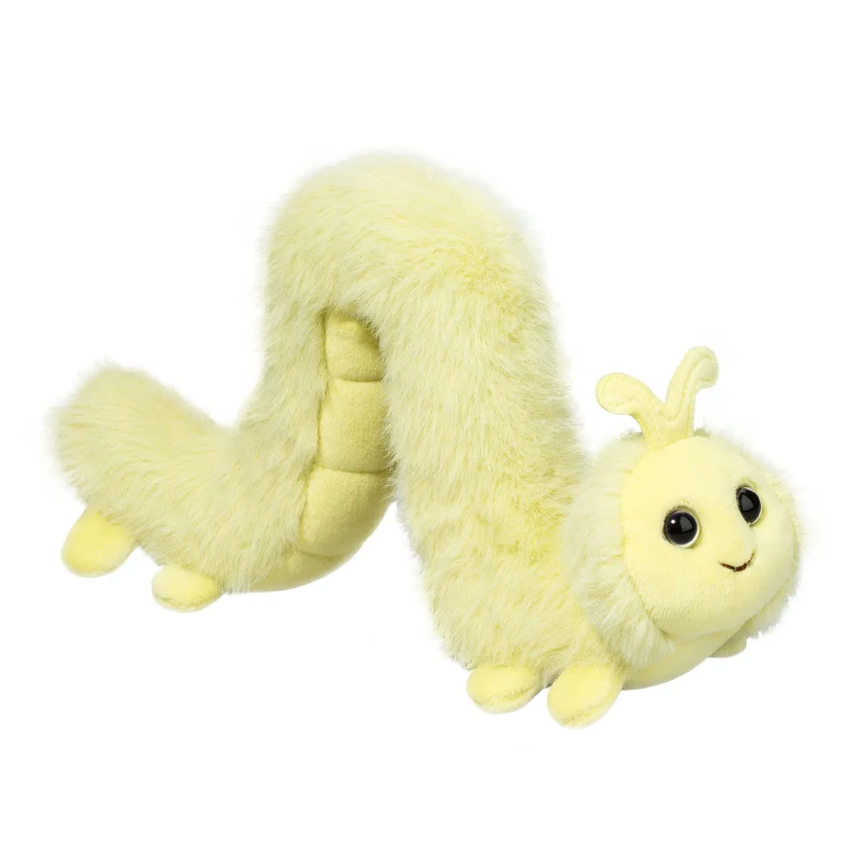 Inchy Worm