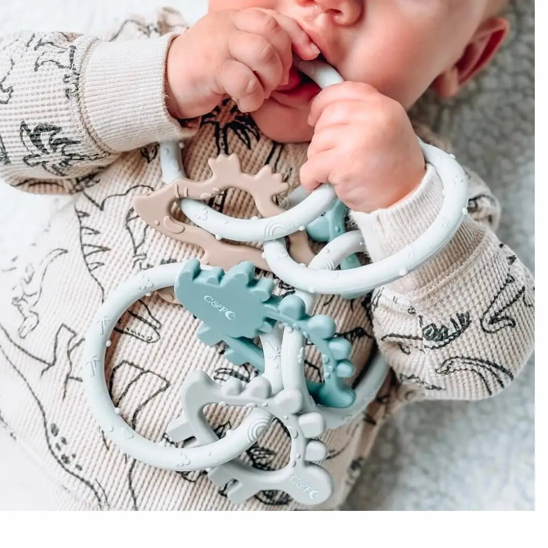 Dino Rings Teether