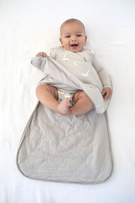 Goose 2.5 Sleep Bag