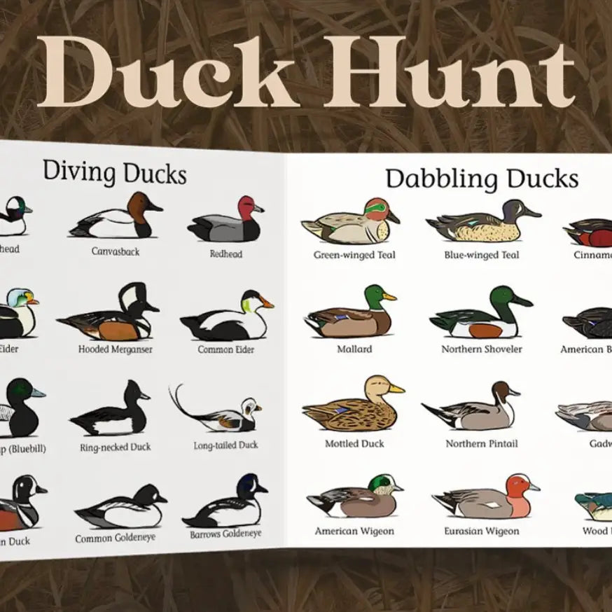 Duck Hunt Children's Book