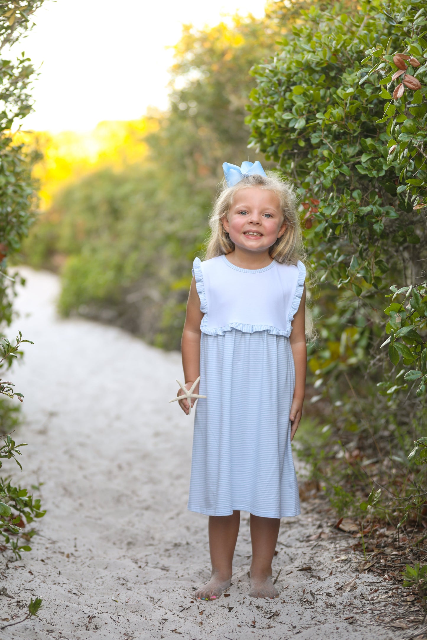 Alice Blue Stripe Dress