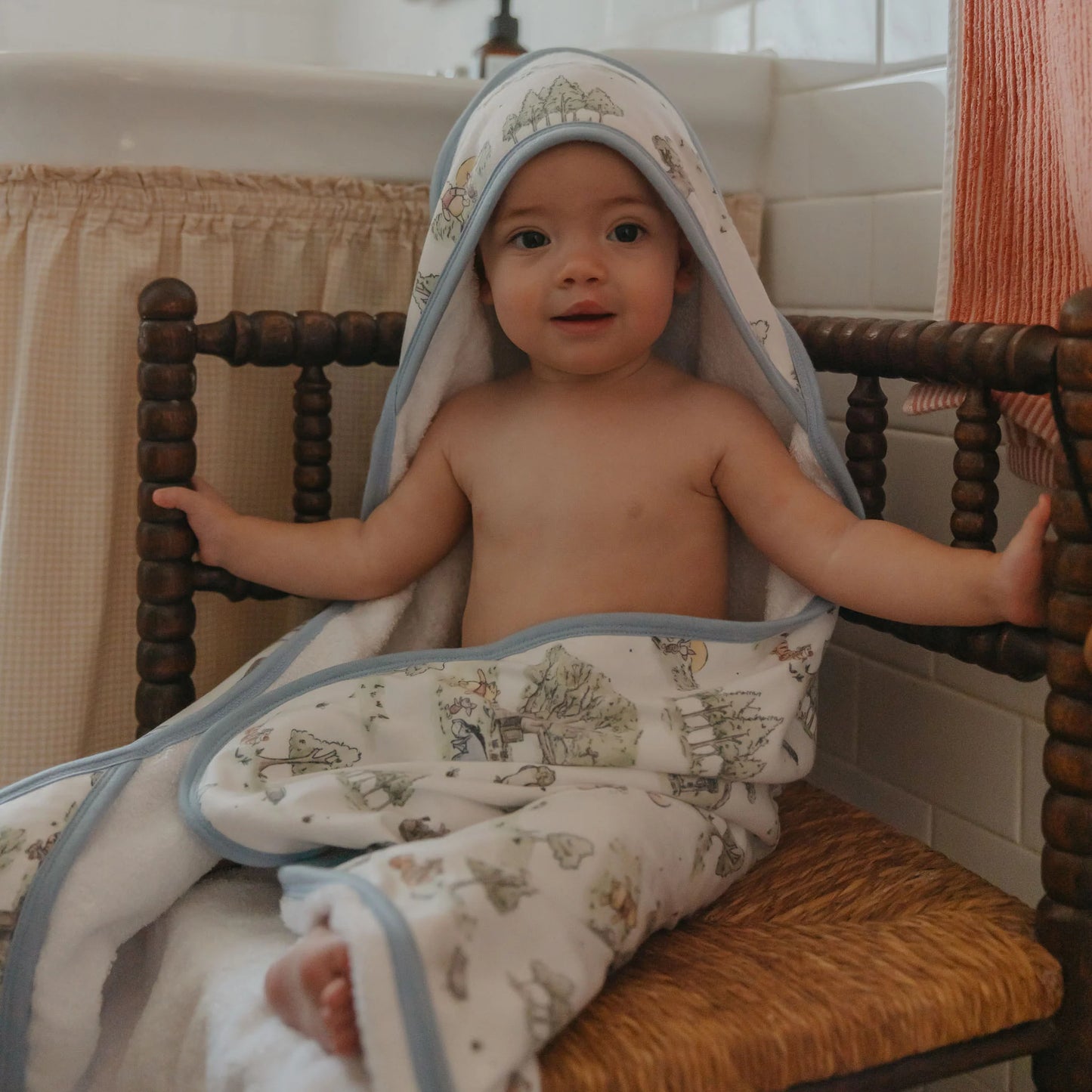 Hundred Acre Wood  Hooded Towel