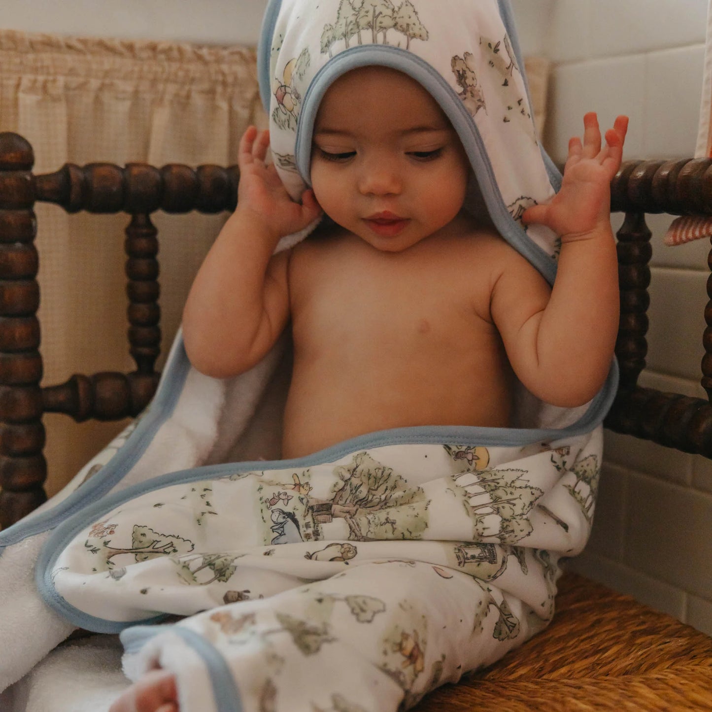 Hundred Acre Wood  Hooded Towel