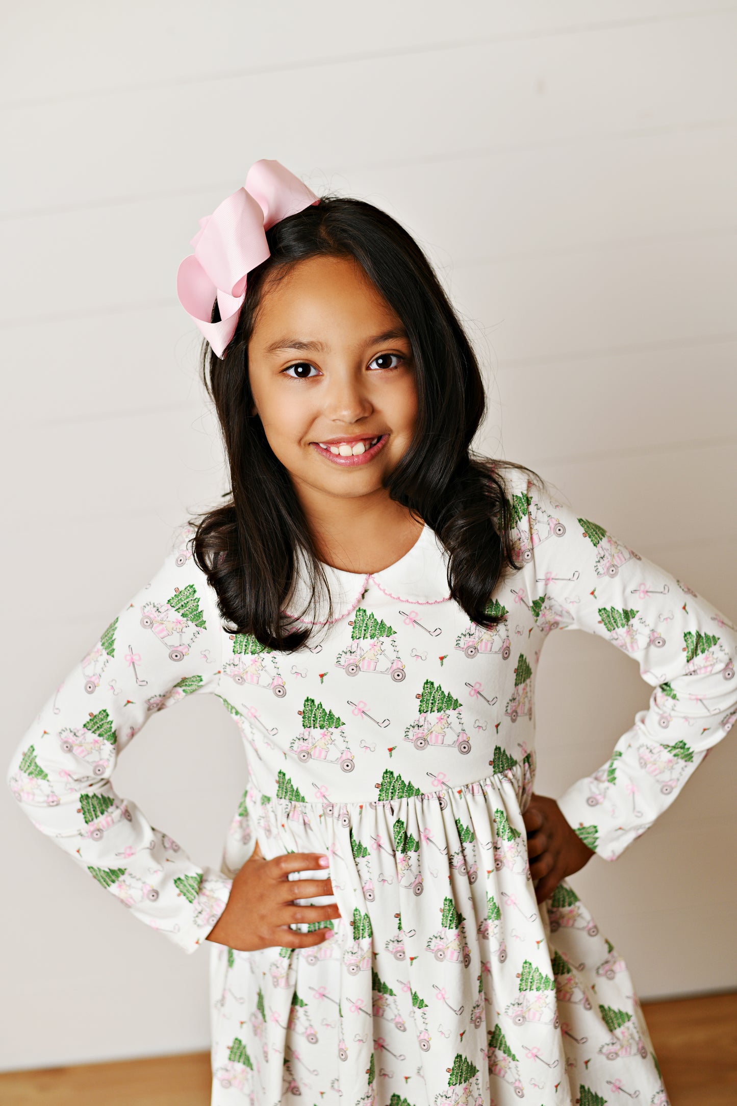 Paw-Tee Christmas Dress