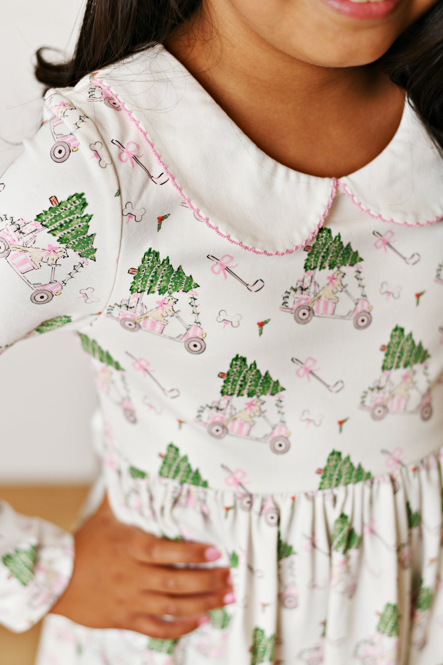 Paw-Tee Christmas Dress