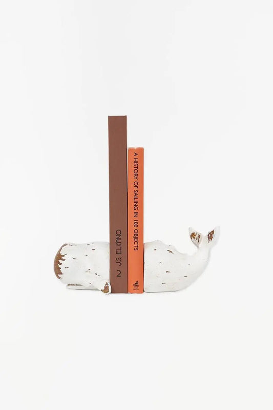 Sperm Whale Bookend