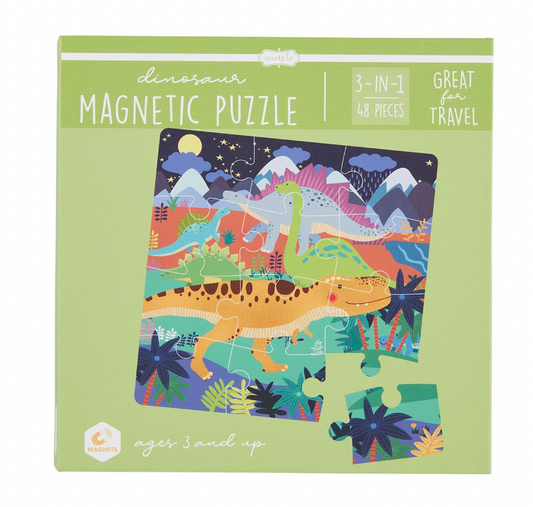 Dino Magnetic Puzzle