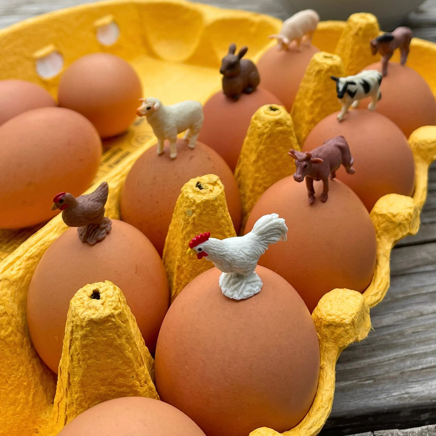 Farm Fun Pack