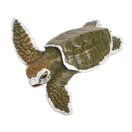 Kemps Ridley Sea Turtle