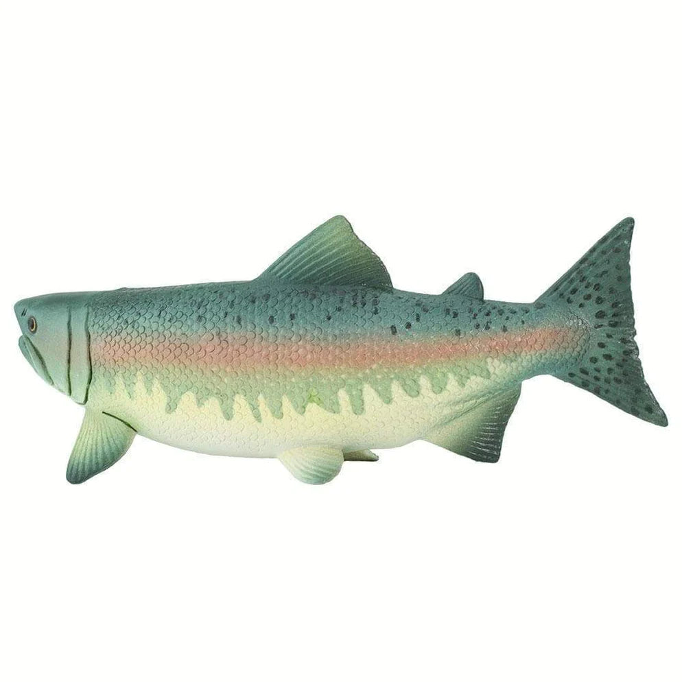 Salmon
