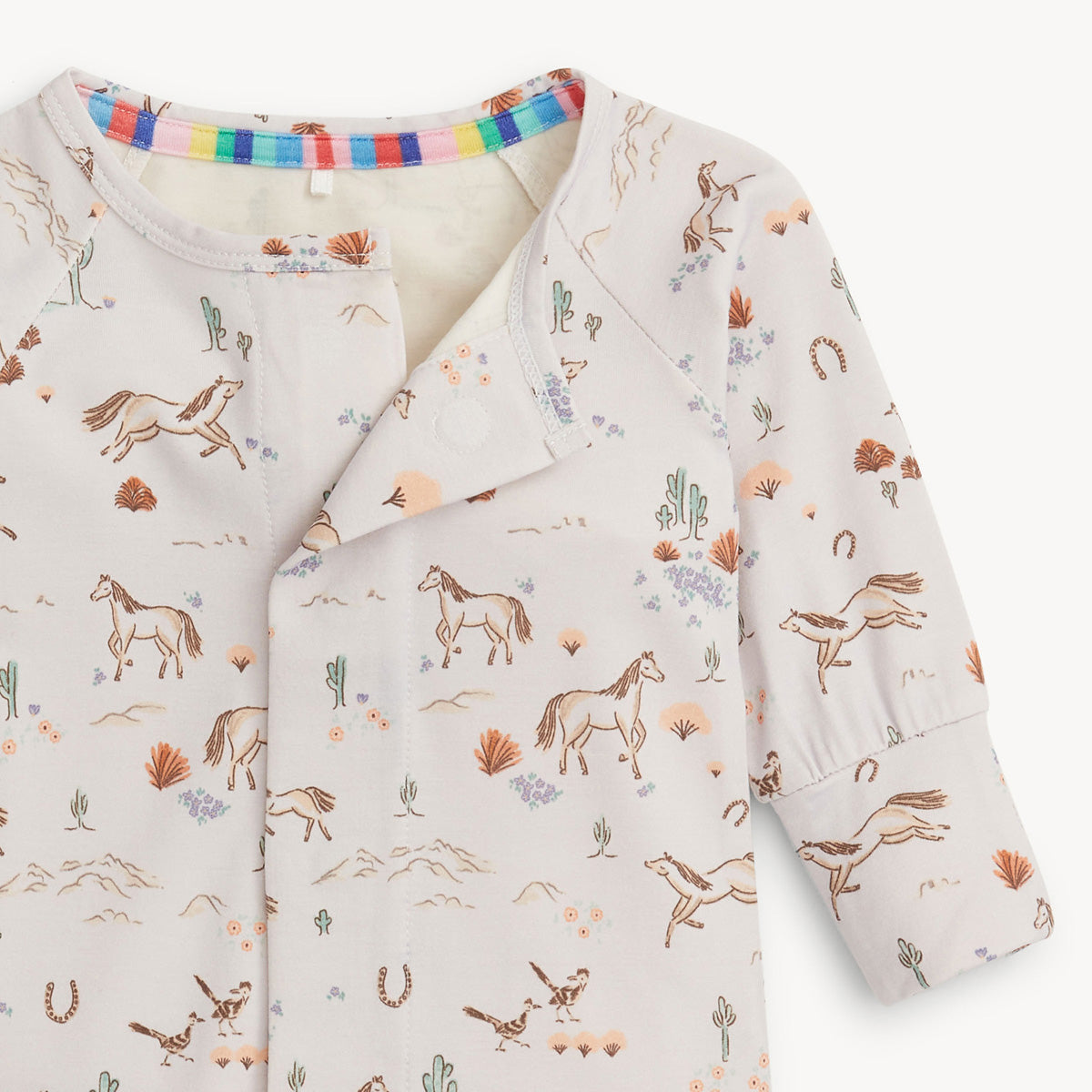 Born To Run Converter