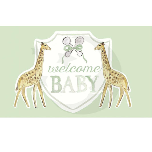 Welcome Baby Flag